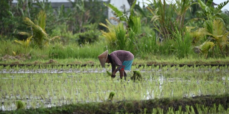 Agricultor estudou somente série encontra