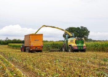 Agro cresce carregar brasileira costas