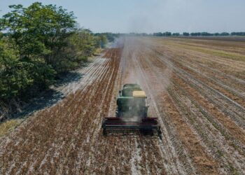 Agro recebe alerta seguro rural