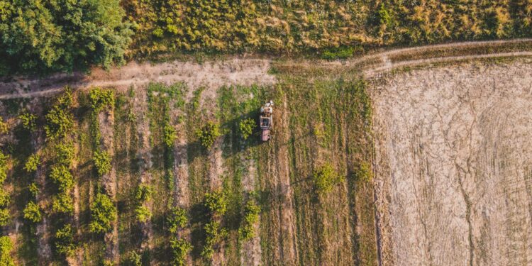 Agronegócio faz lista pedidos próximo