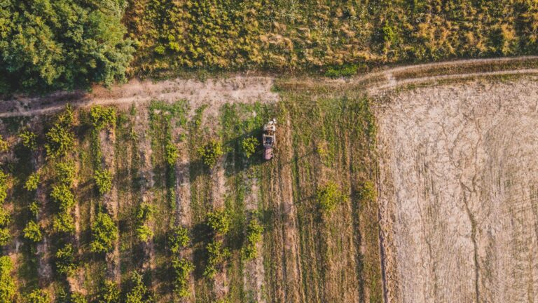 Agronegócio faz lista pedidos próximo