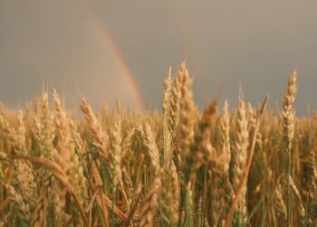Semanas chuva tempo seco facilitar