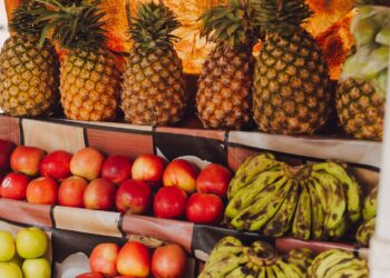 Brasil conquista dois novos mercados