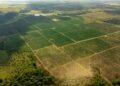 Brasil superar milhões toneladas continuar