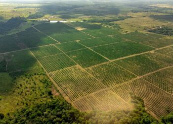 Brasil superar milhões toneladas continuar