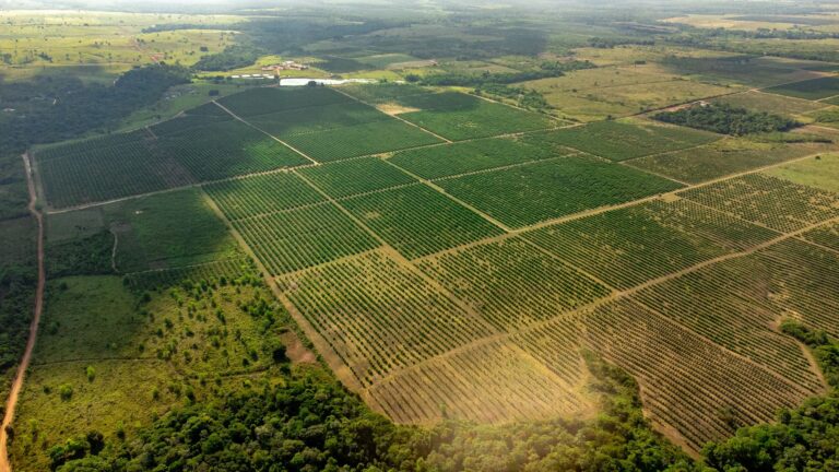 Brasil superar milhões toneladas continuar