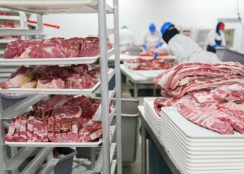 Brasil mira novo recorde produção