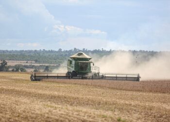 Brasil aproxima liderança agro mundial