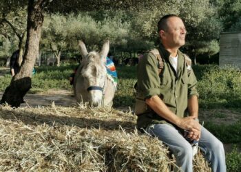 Burros vacas cavalos ganham missão