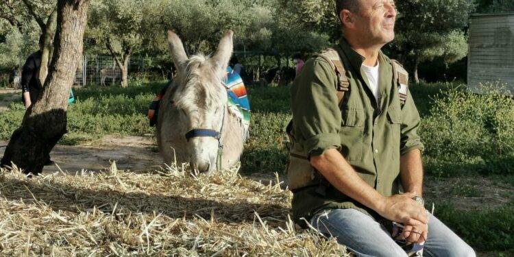 Burros vacas cavalos ganham missão