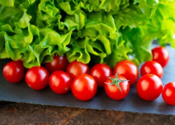 Cientistas querem produzir alface tomate