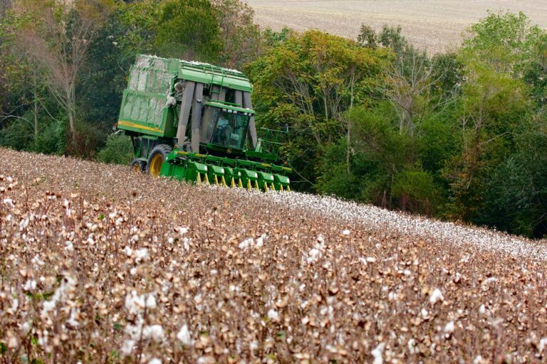 Dois agricultores encontraram máquina algodão