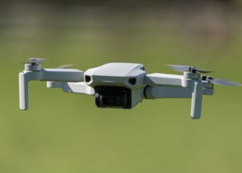 Drone sobrevoa gado descobre animal