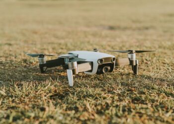 Drones encontram milhares castanheiras escondidas