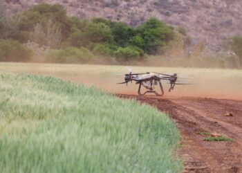 Drones sobrevoam plantações amanhecer encontram