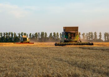 Acelerar fusões agro mudar cenário