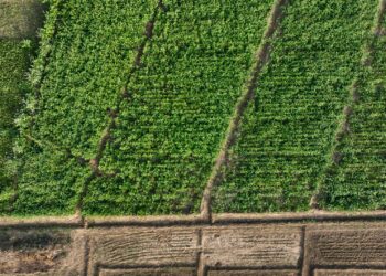 Mudar cenário campo abrir janela