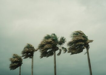 Especialistas pedem moradores estados brasil