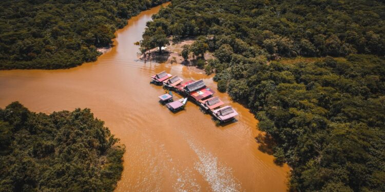 Especialistas revelam mudança preocupante amazônia