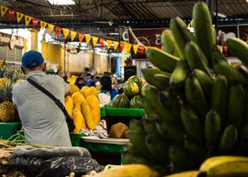 Frutas colocar lista compras setembro