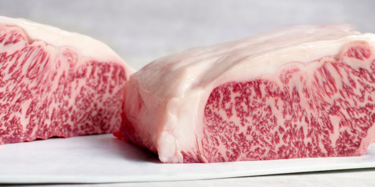 Vacas produzem carnes caras mundo