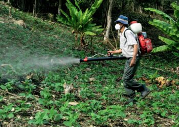 Estudo estima quase metade agricultores