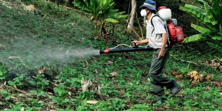 Estudo estima quase metade agricultores