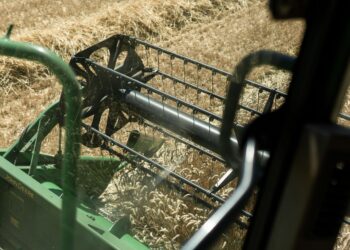 Estudo ouviu milhares profissionais agronegócio