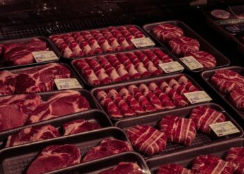 Europa bloqueia carne brasileira dois