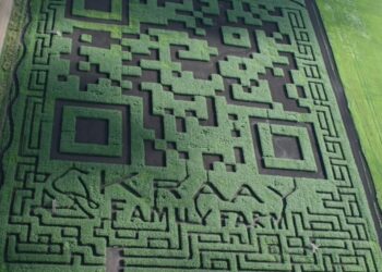 Família transforma milharal code gigante