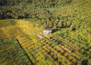 Fenômeno histórico atingir agro formas