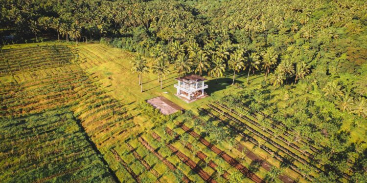 Fenômeno histórico atingir agro formas
