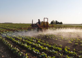 Fertilizante fica caro produtores enfrentar