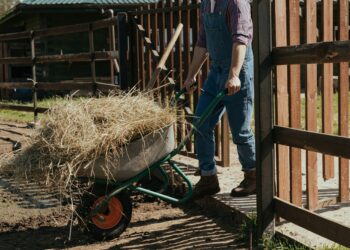 Germán fernández agricultor podemos trabalhar