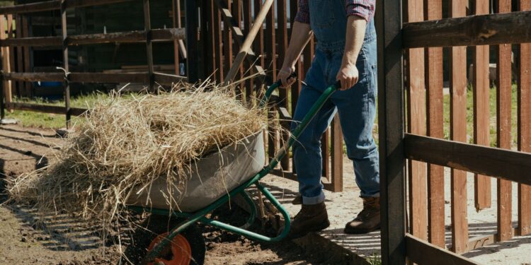 Germán fernández agricultor podemos trabalhar