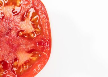 Nasa manda milhões sementes tomate