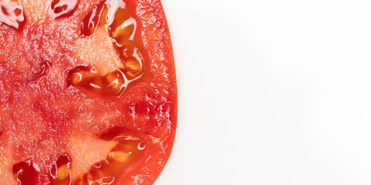 Nasa manda milhões sementes tomate