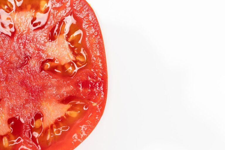 Nasa manda milhões sementes tomate