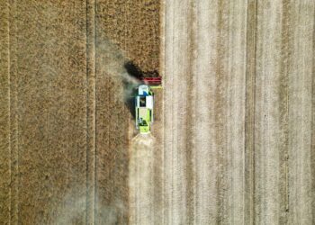 Estado brasil população trabalha agronegócio