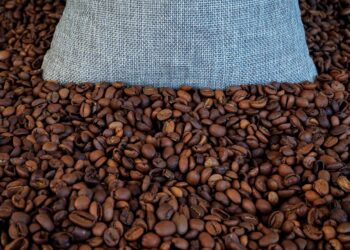 Café começou nova safra boas