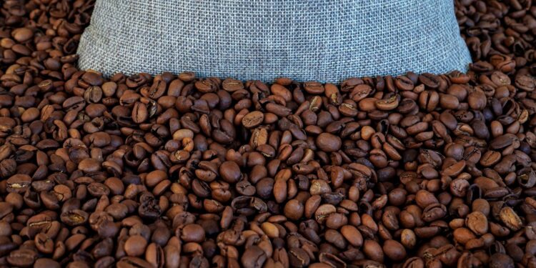 Café começou nova safra boas