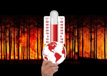 Combater aquecimento global campo terá