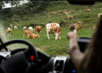Precisar parar carros fazendeiro constrói