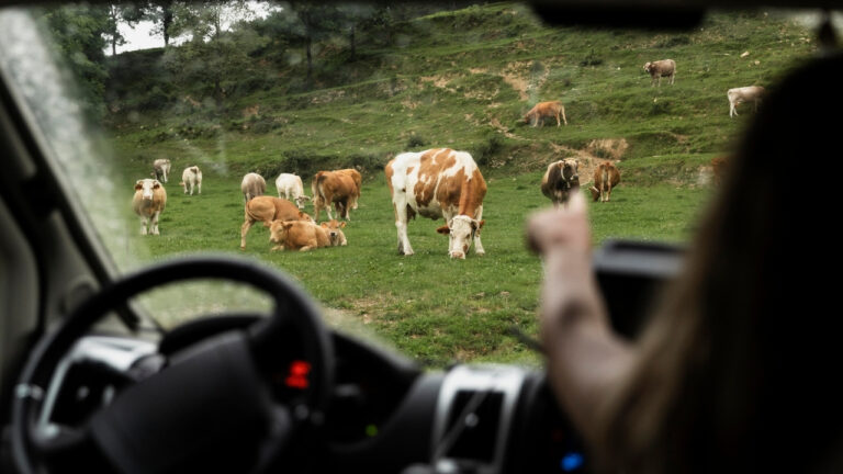 Precisar parar carros fazendeiro constrói