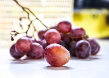 Pesquisadores dão nova função uva