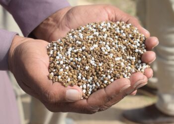 Produtores brasileiros cortam gastos fertilizantes