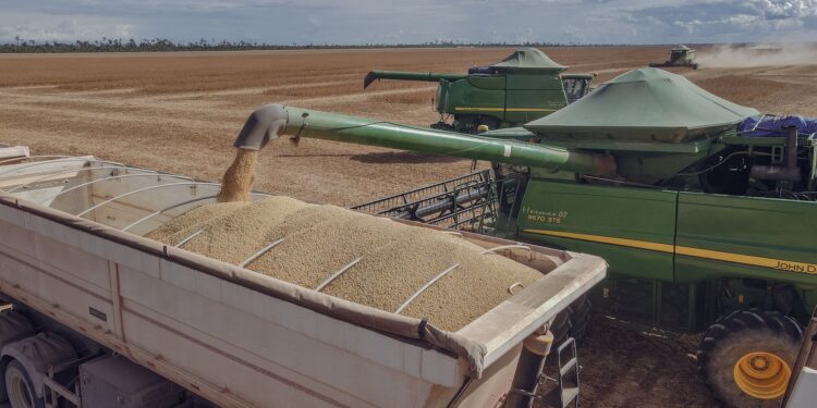 Produtores soja recebem alerta praga