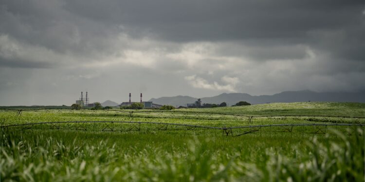 Produtores acumulam perdas clima preços