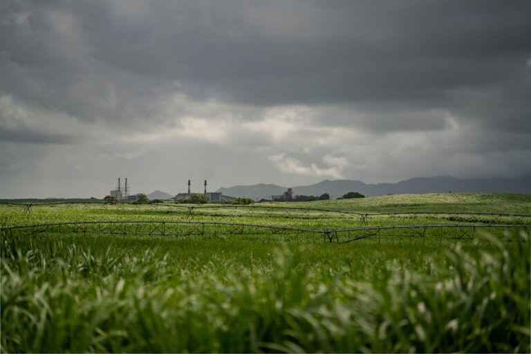 Produtores acumulam perdas clima preços