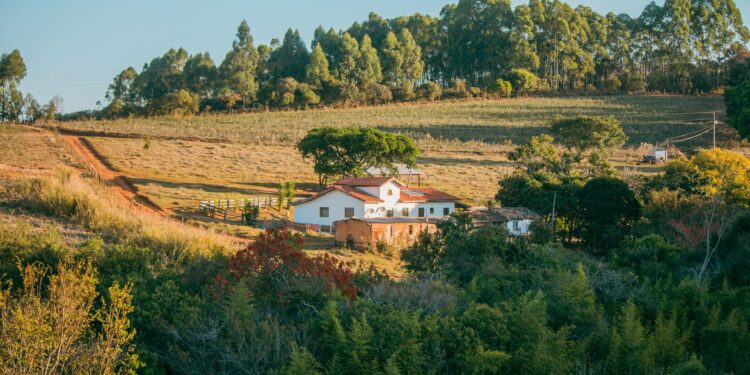 Imóvel rural precisa saber prazo